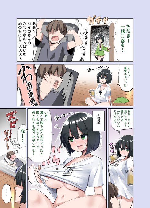 マスターの魂の声vsセイカ姉 