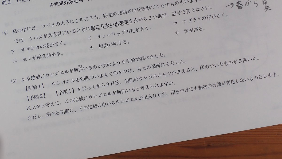 Sawagani550 小6男児が わからーん これどうやって考えるん と言って持ってきた理科の問題 標識再捕法だ 但し書きもしっかりしてる イマドキの小学生はすすんでるな ウシガエル何匹いると考えられますか