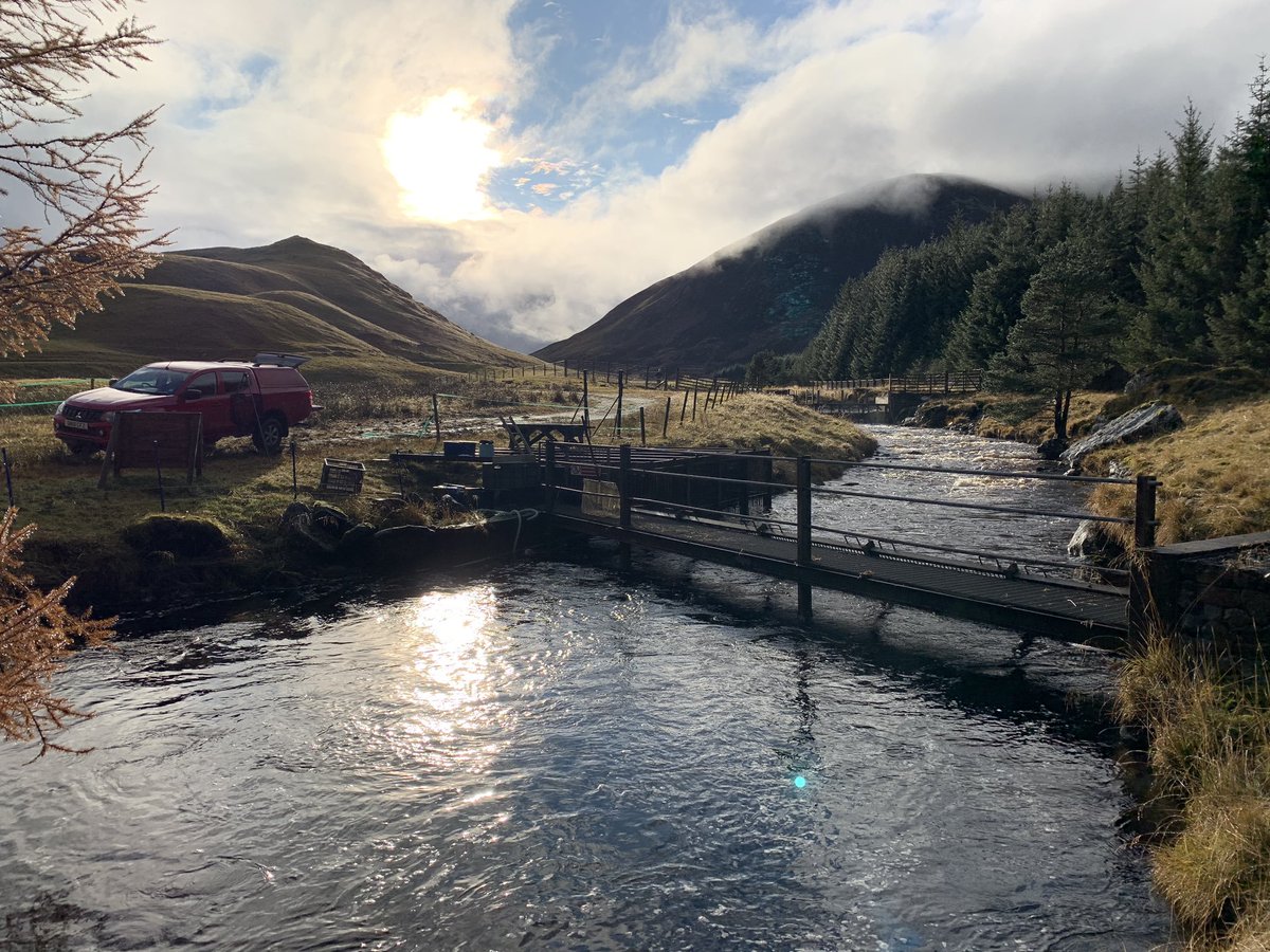 .<a href="/scotgov/">Scottish Government</a> is now consulting on proposed #AtlanticSalmon river gradings for the 2022 fishing season 🐟 

Our website has all the details and links to the consultation at ➡️ bit.ly/SalmonRiverCon…

📌Please ensure responses are submitted by 10 September 2021.