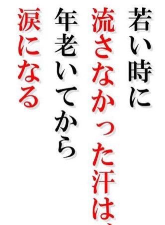 hiroshi2ten's tweet photo. 自分に損になる事はやり過ごそうという意図が見える人間が信頼を得る事はない。己の利益だけを追い、協調性もない人間には応援も協力もしたいと思わない。結局、人は自分の側でひたむきに努力する者に惹かれ、応援したくなる。その場しのぎの上辺だけの愛想笑いで信頼を得る事など出来やしない。クロ戌 https://t.co/FGCJuCM5FC