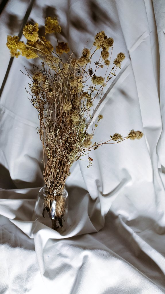svendirai's tweet photo. ↠
vitalmente no necesito mucho:
poder vivir cortando flores, fíjese, recolectar frutos silvestres,
los que regala el pino,
lecturas, jazz por la tarde,
escribir como inspirar
y en un lugar aún más pequeño
pero igual de luminoso
al que soñaba yo niño,
las manos de este último.
↞ https://t.co/l3T2wm9ozJ