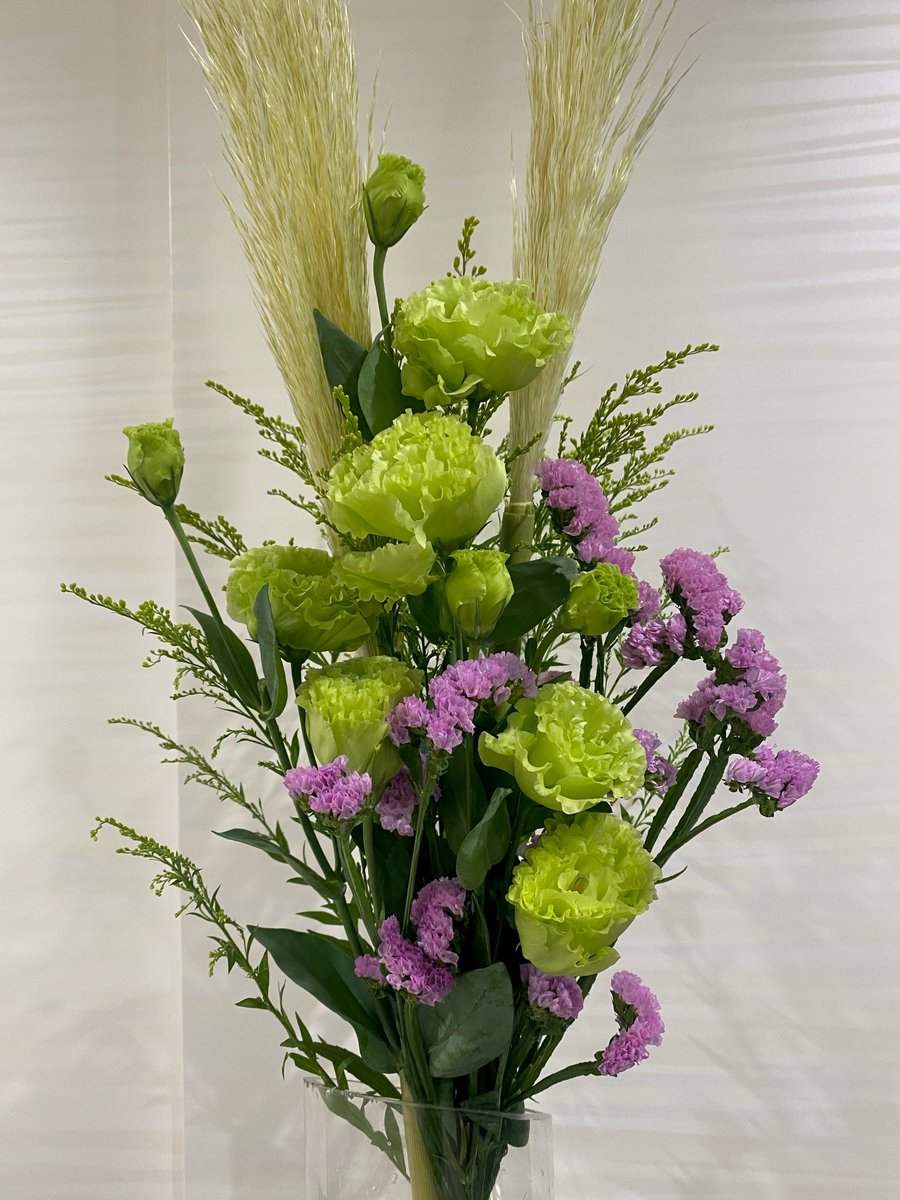 スターチス Twitter Search