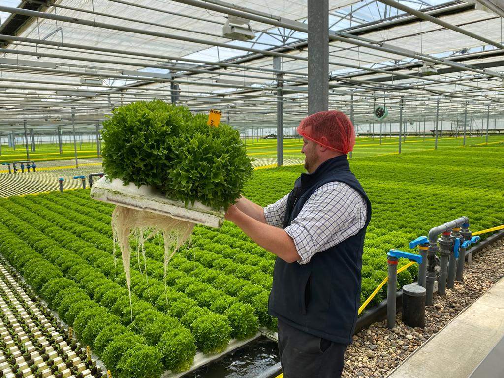 UK IT Networks tweet media