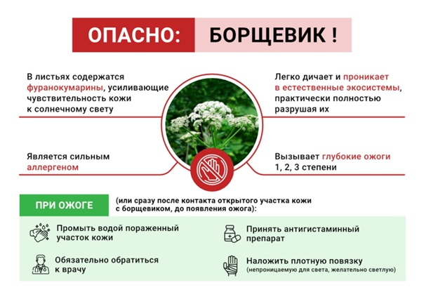 Администрация МО Красноярское (@admkrasnoyarska) on Twitter photo 