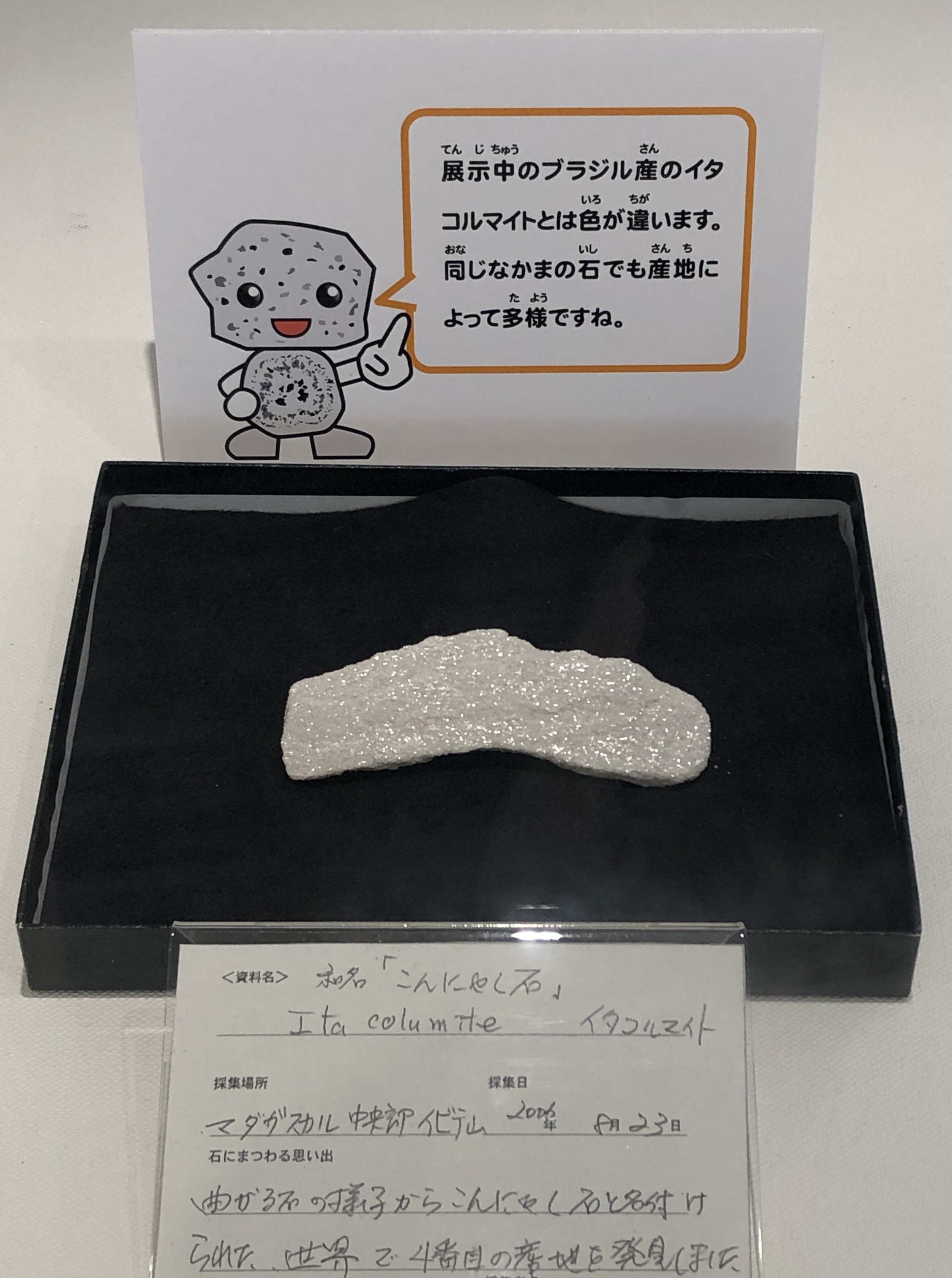 奇石 コンニャク石 イタコルマイト 三重県総合博物館(MieMu) on X: 
