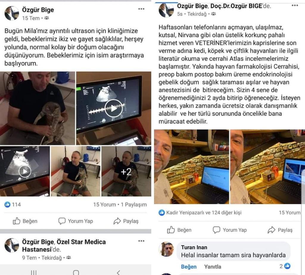 Veteriner hekimlere yaptığın saygısız tavırlar ve  hayvanlara yasa dışı işlemler yaptığın için yargıda hepsinin hesabını vermelisin!