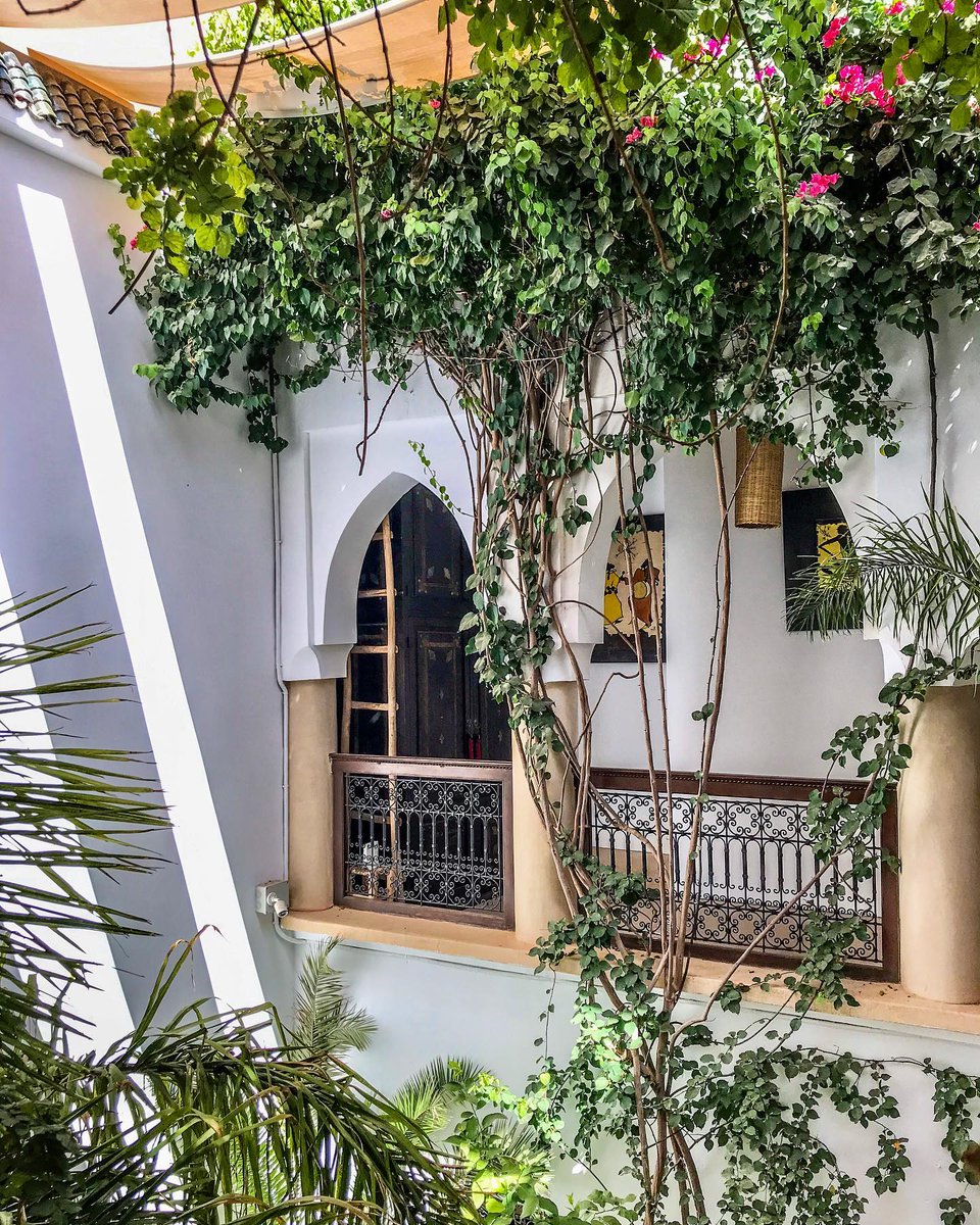 marrakech_ryad's tweet photo. Good morning! ✨
.
.
.
.
#summer #sunlight #bougainvillea #riadmarrakech #moroccanriad #moroccotravel #moroccotrip #simplymorocco #mydearmorocco #inmarrakech #morocco #marrocos https://t.co/ofGIxrlsNR