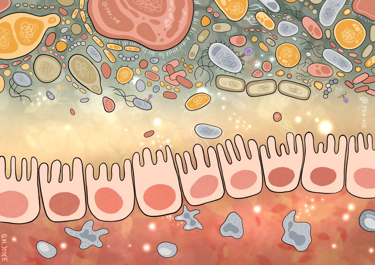 Georgina Joyce tweet media