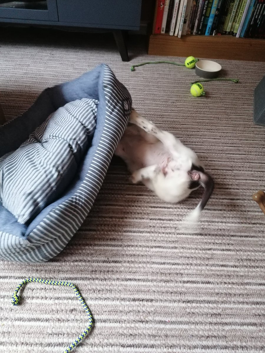 Martin Orchard tweet media