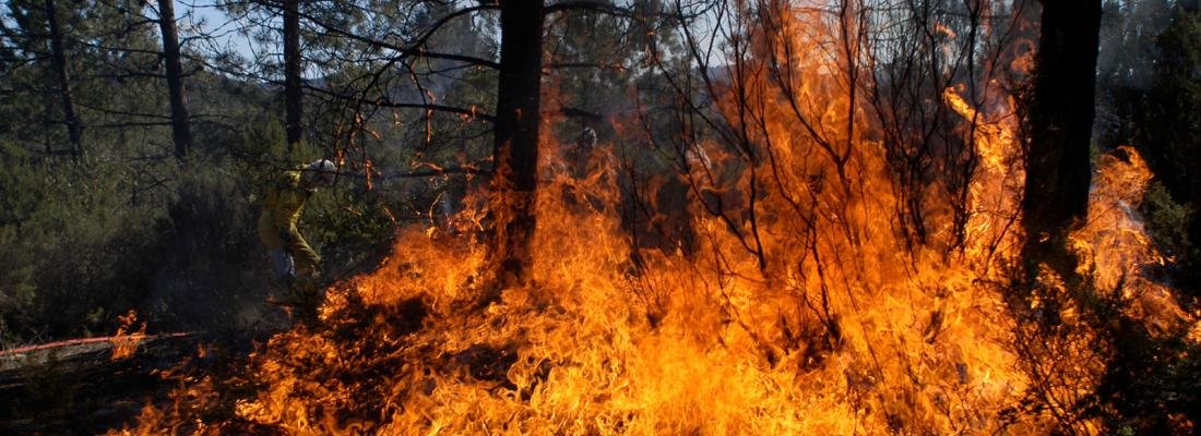 Les #FeuxDeForet marquent régulièrement l’actualité. Le #changementclimatique, l’intensification et l’étalement des implantations humaines ont multiplié les risques d’#incendies, faisant peser de nouvelles menaces sur les #forêts et les habitants
Dossier👉url.inrae.fr/3rV5COL
