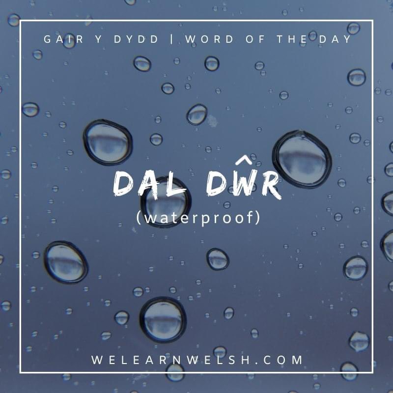 We Learn Welsh (@welearnwelsh) on Twitter photo Gair y dydd / Word of the day: dal dŵr (waterproof)
Cofiwch wisgo dillad sy'n dal dŵr! = Remember to wear waterproof clothing!
#welsh #cymraeg Gair y dydd / Word of the day: dal dŵr (waterproof)
Cofiwch wisgo dillad sy'n dal dŵr! = Remember to wear waterproof clothing!
#welsh #cymraeg