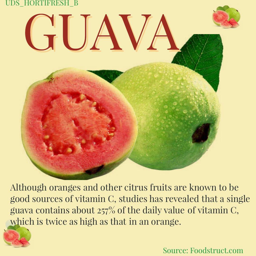 UDSHortifreshB's tweet photo. Did you know that Guava has the highest levels of Vitamin C compared to Oranges ? 
#hortifreshsmc2021 #IYFV2021 #facts https://t.co/3rVe3DDuNq