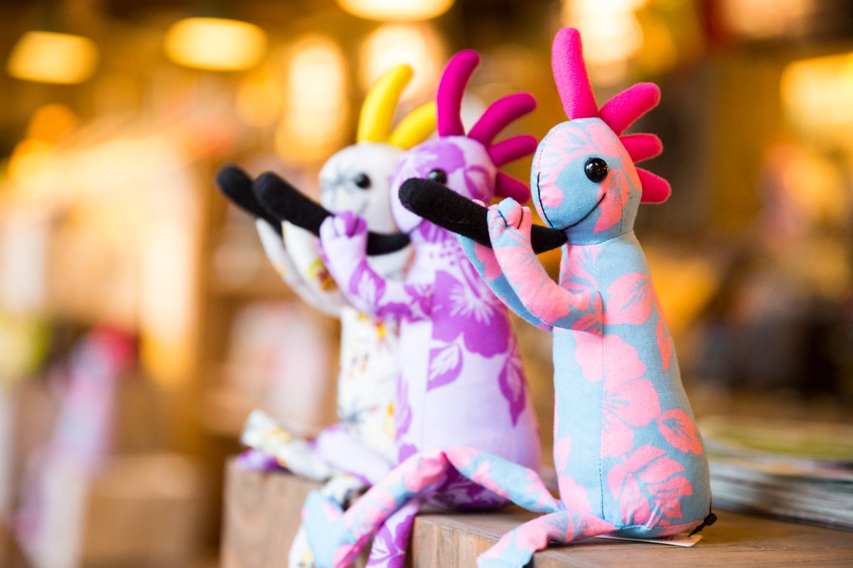 E8fjdAhUUAAHq_x.jpg?format=jpg