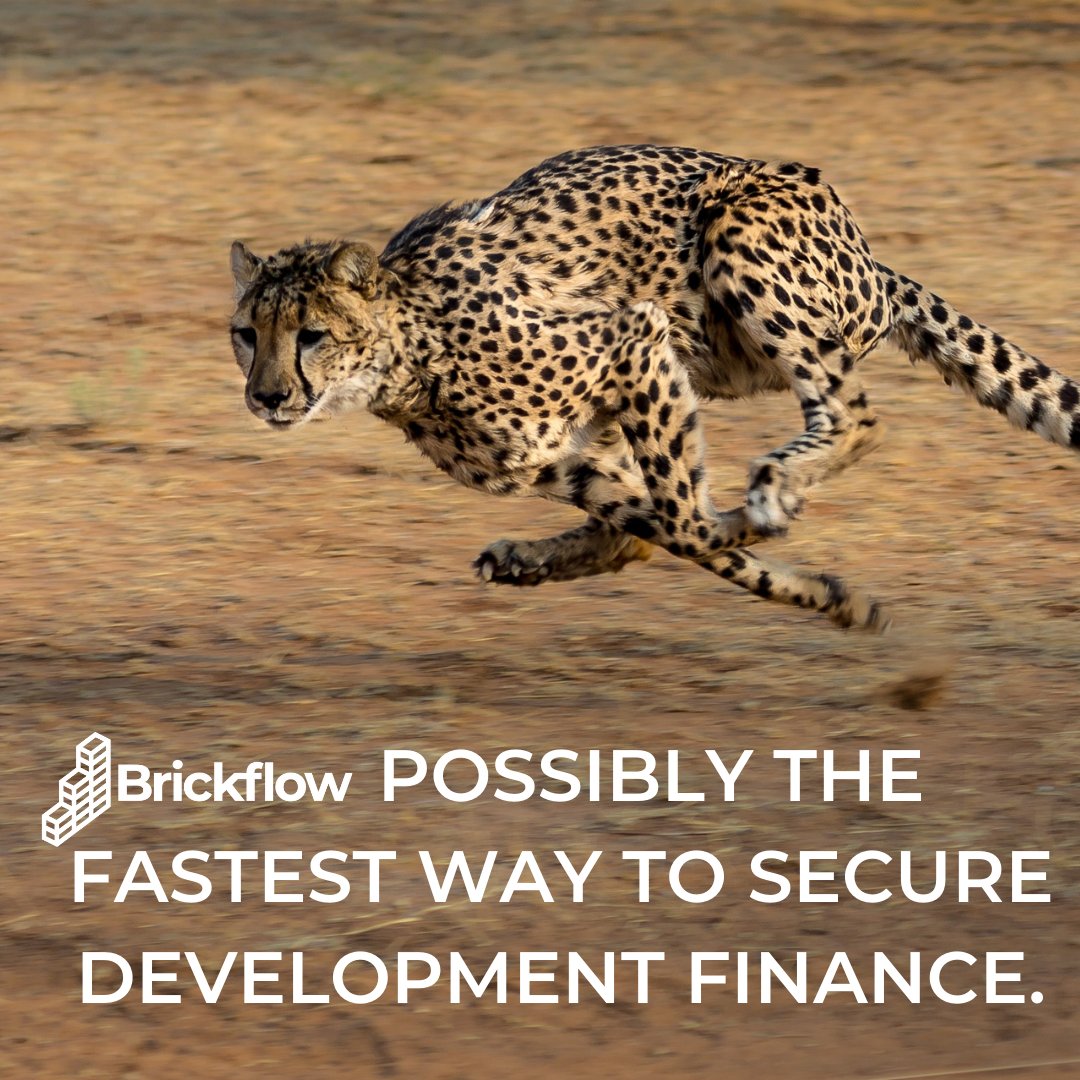 Brickflow's tweet image. Cheetahs are the world's fastest land animals. 
Brickflow is the world's fastest way to find development finance, allowing you to compare 31 lenders in under 2 minutes!
Learn more at hubs.ly/H0V0dR00 
#developmentfinance #propertydevelopment #realestate #commercialproperty