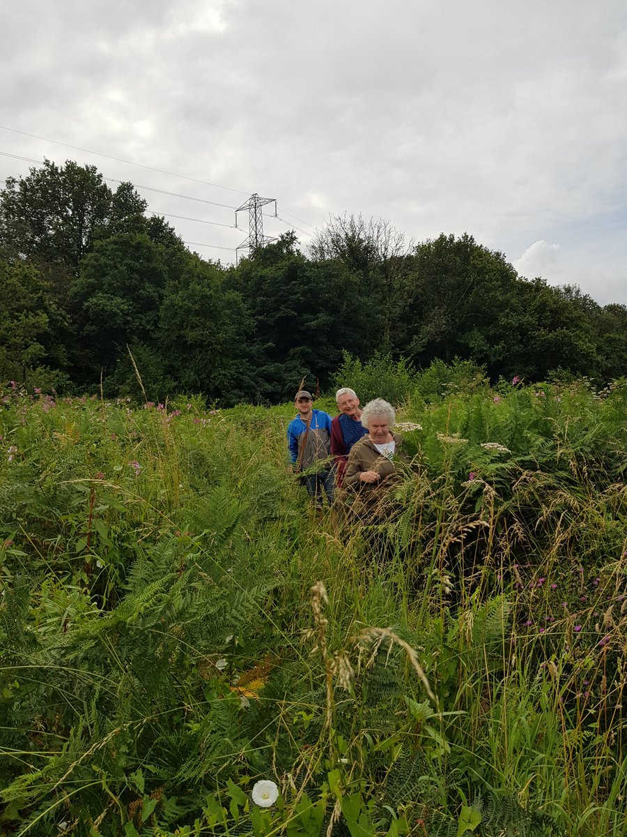 Okay folks, time is up, you've had decades to get your heads around it but now we must make changes. But how? It's too big! Yes, it is a lot to deal with but all you need to do is start. This week could you opt for a bike or walk instead of use the car? #ClimateEmergency