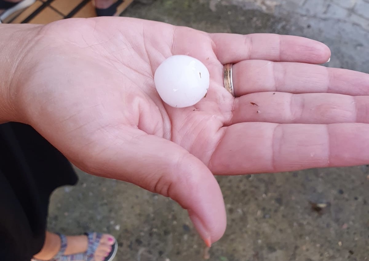 eltiempo_atv's tweet photo. No está mal el tamaño del granizo ayer tarde en #Valsada #Almudévar, #HoyadeHuesca
Foto de MªJosé Avellanas https://t.co/FtPitczdIw