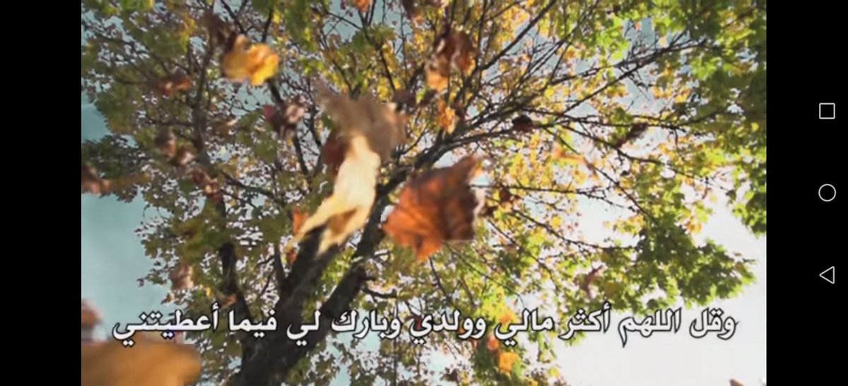 abu_laylah's tweet photo. https://t.co/XdSCga2WZj