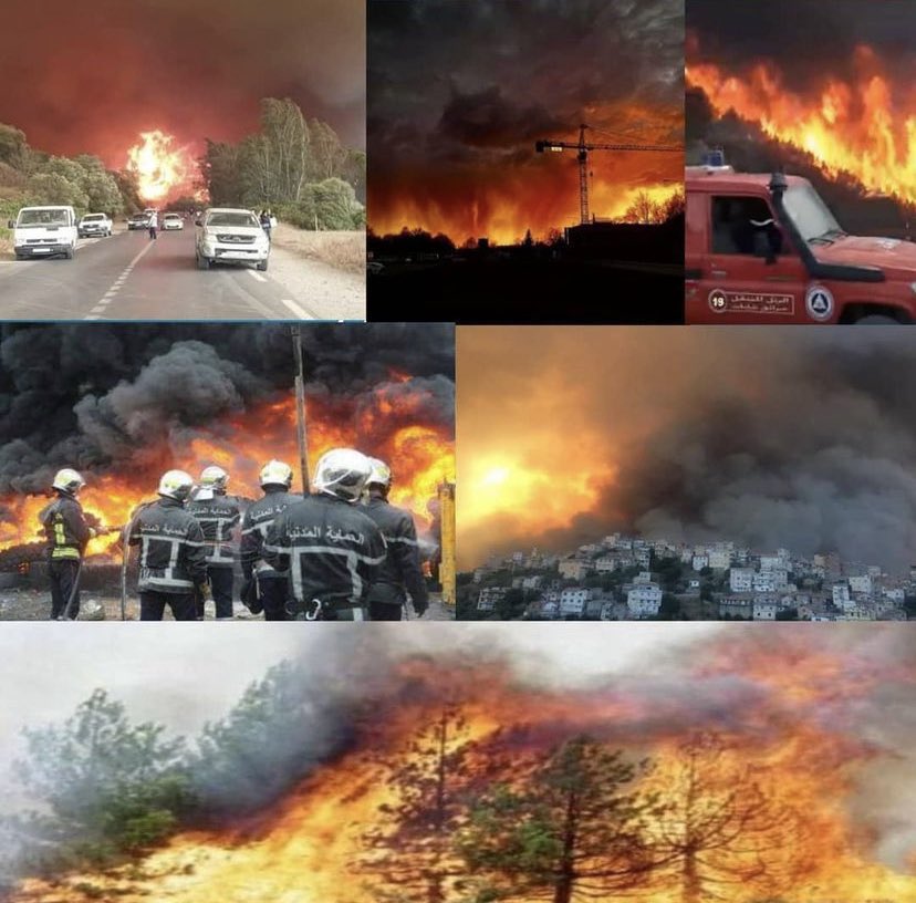 NAchakour's tweet photo. #جزائر_العز
اللهم بعزتك وجلالك انزل على قلوب الشعب الجزائري الطمئنينه والسكينة وجعلها بردا وسلاما 
لكي الله يا جزائر https://t.co/hQF3VYD3xJ