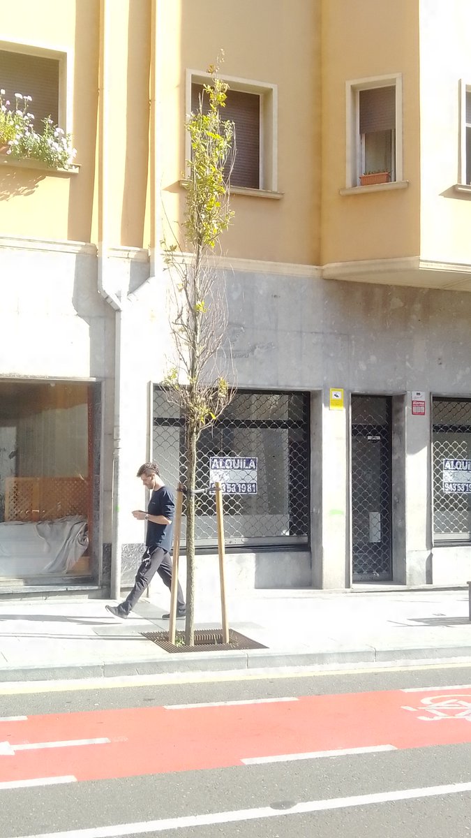 SOSterritorios's tweet photo. 🔴#Irún y #Sevilla están unidas por las mismas #Políticas, #Mentiras y #PostureoVerde
La nefasta gestión que hace del #ArboladoUrbano @jasantano y @c_laborda en @Irun_informa solo es comparable y superable por @_JuanEspadas en @Ayto_Sevilla
Aquí la preocupante realidad de #Irún https://t.co/FCHlRppXKG