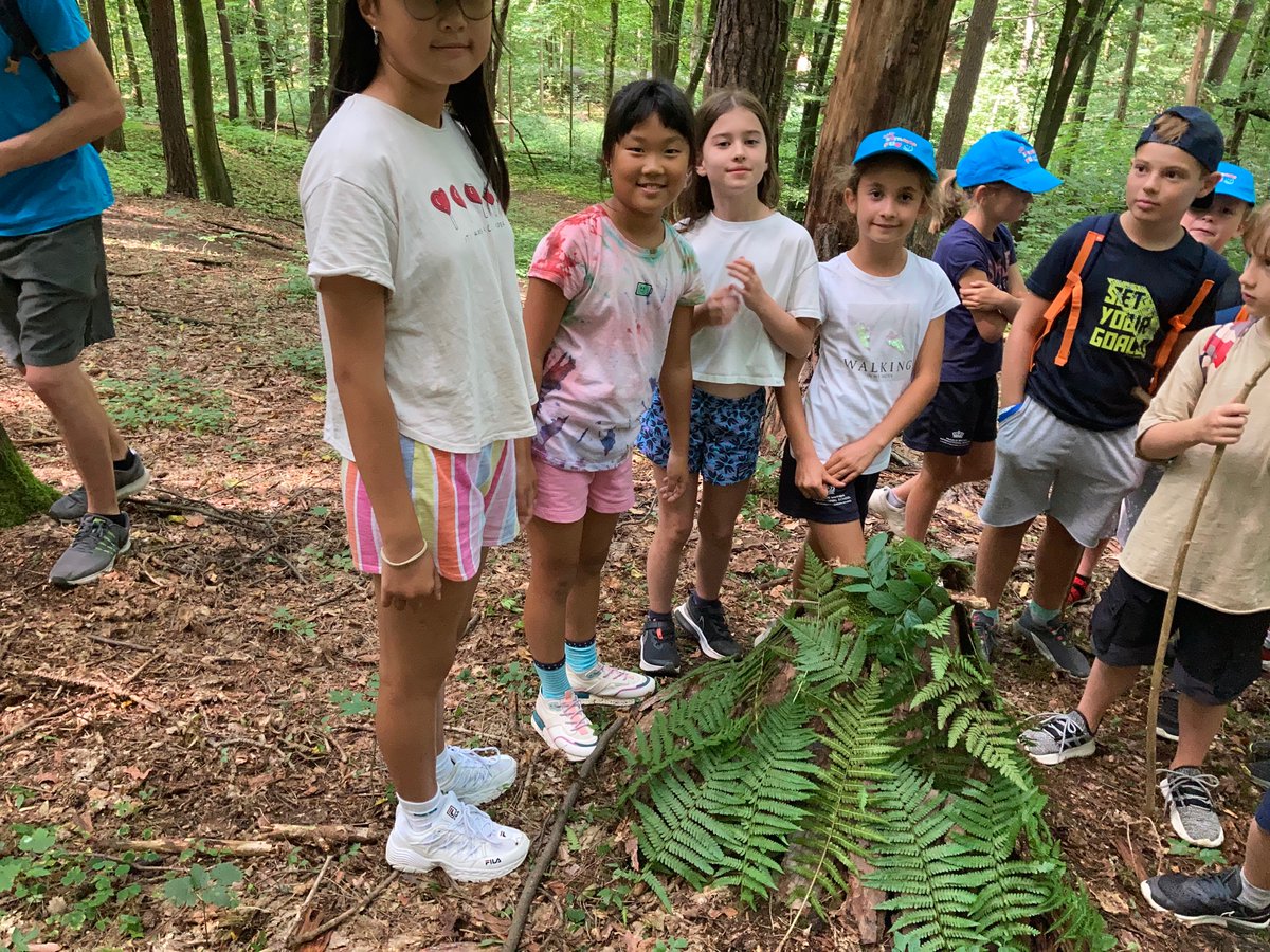 PBISchoolExtra's tweet photo. Building shelters #SummerFun7 https://t.co/4P1BlFtsUO