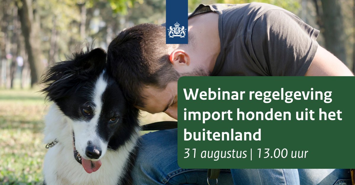 Welke regelgeving geldt voor import van honden uit het buitenland? Wat is er verandert en wat betekent dat voor jouw organisatie? Stray AFP organiseert op 31 augustus een #webinar met vertegenwoordigers van  ministerie van LNV, RVO en NVWA. Meld je aan bit.ly/3lSITll