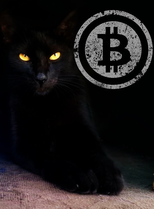 adan_pich's tweet photo. Bitcoin até o fim de 2021, bate os seus 100k . Kkkkk  #LATOKEN2021Bitcoin https://t.co/T7PyZTgmWx