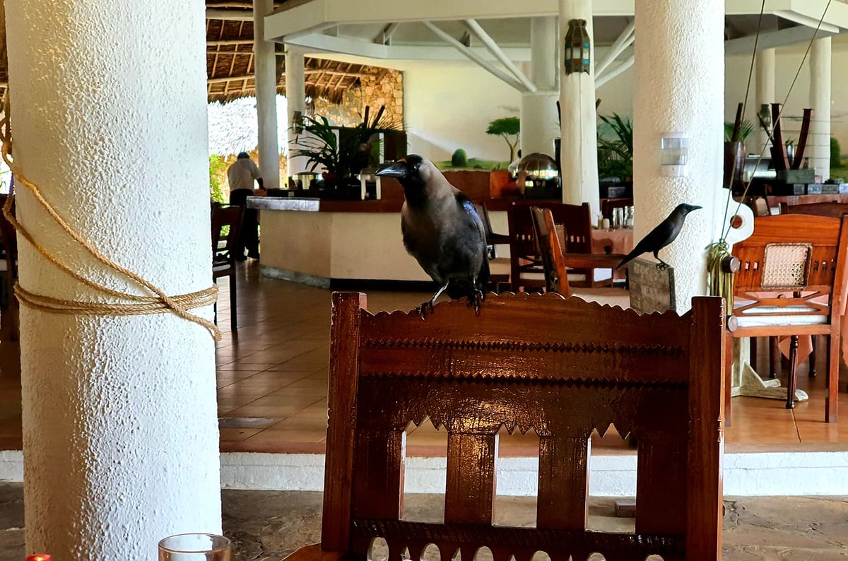 salimcamerapix's tweet photo. Mystery interviews continue ... another awesome location and a kind of empty chair with an audience!! 😂😂 loving this!! Still setting up as will be on the road for a few days!! Working with the best team around!!
#interview #history #magicalkenya #crew #camerapix #comingsoon https://t.co/V26PpI9wU5