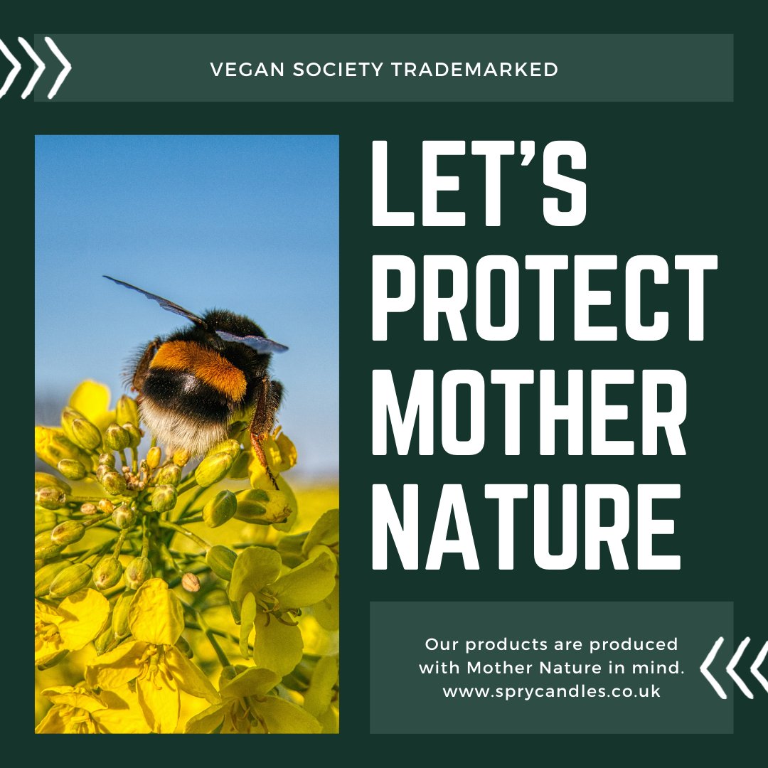 Our commitment to protecting Mother Nature remains at the core of what we do. Our approach is recognised by The Vegan Society who have granted Spry Candles their trademark. We would love you to try us. #vegan #naturalwax #longerburning #Environmentalpackaging #Lovetheearth
