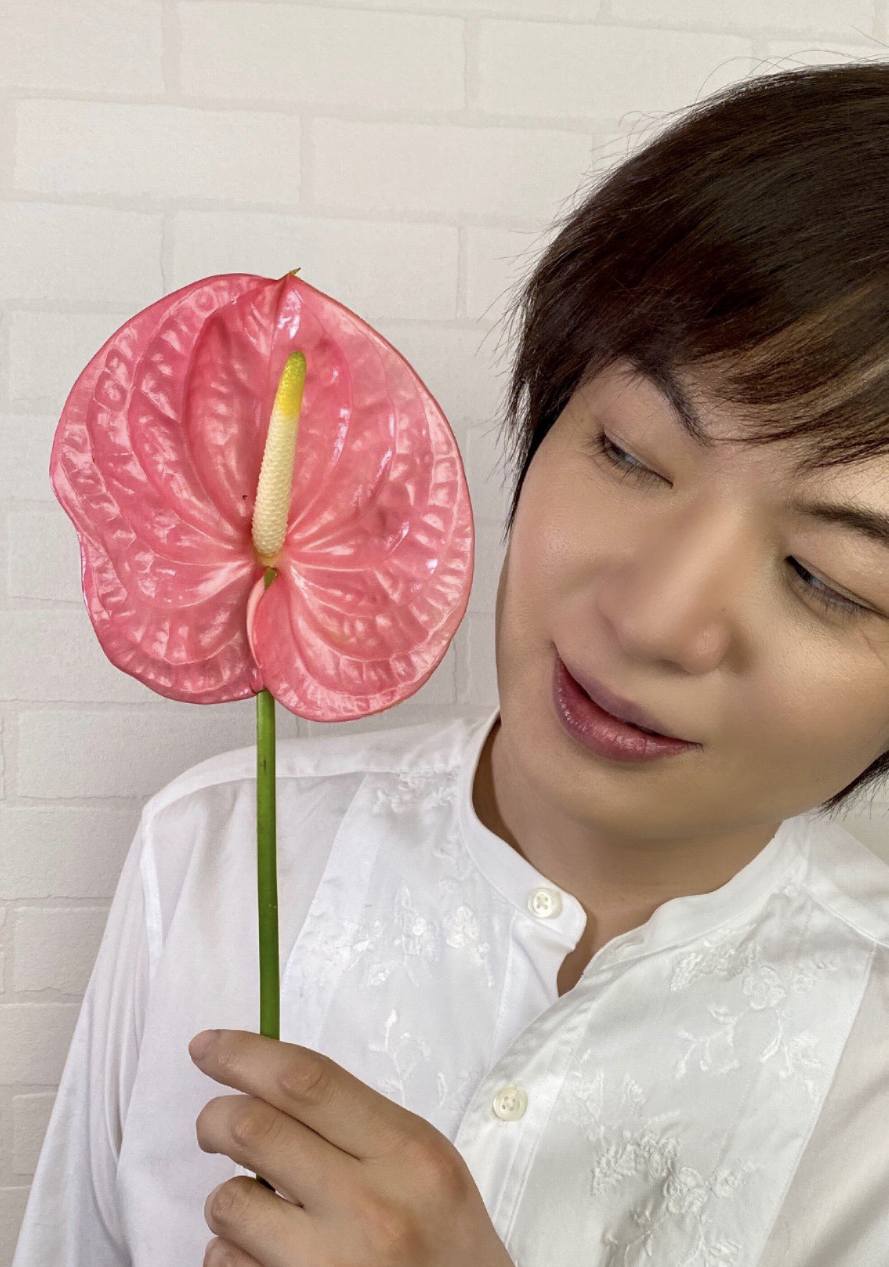 竹島宏スタッフ 公式 アンスリウム ローザ 西洋での花言葉は Happiness 幸運を意味する花言葉 ベビーピンクは優しい 気持ちになりますね 今日も１日お疲れ様でした ひろネット 花便り 花言葉 花 花を贈ろう 感謝 絆 花のある暮らし