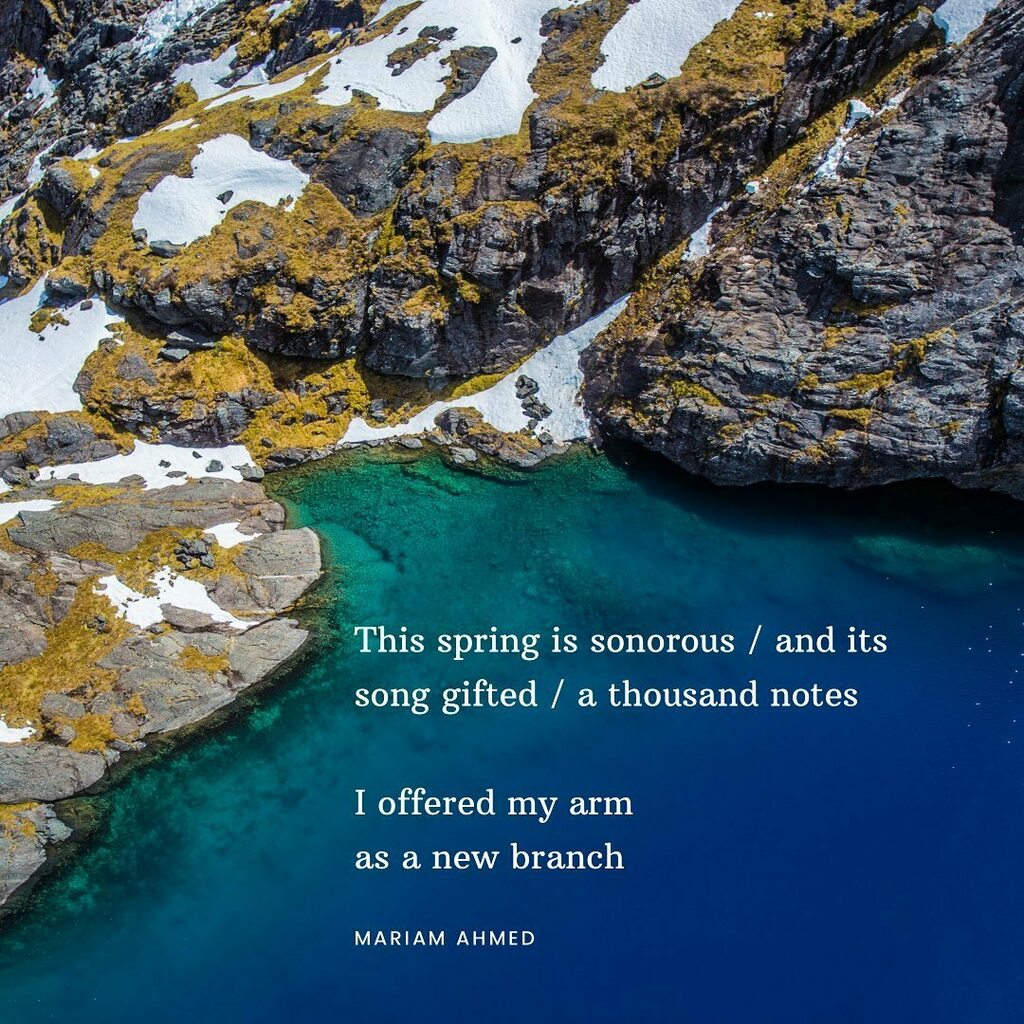offendingadam's tweet photo. This spring is sonorous / and its
song gifted / a thousand notes

I offered my arm
as a new branch

— Mariam Ahmed (@mariamcredible), from MAP: Moments of Astral Projection https://t.co/JHFBURNAhR https://t.co/zy7QKfDVaL