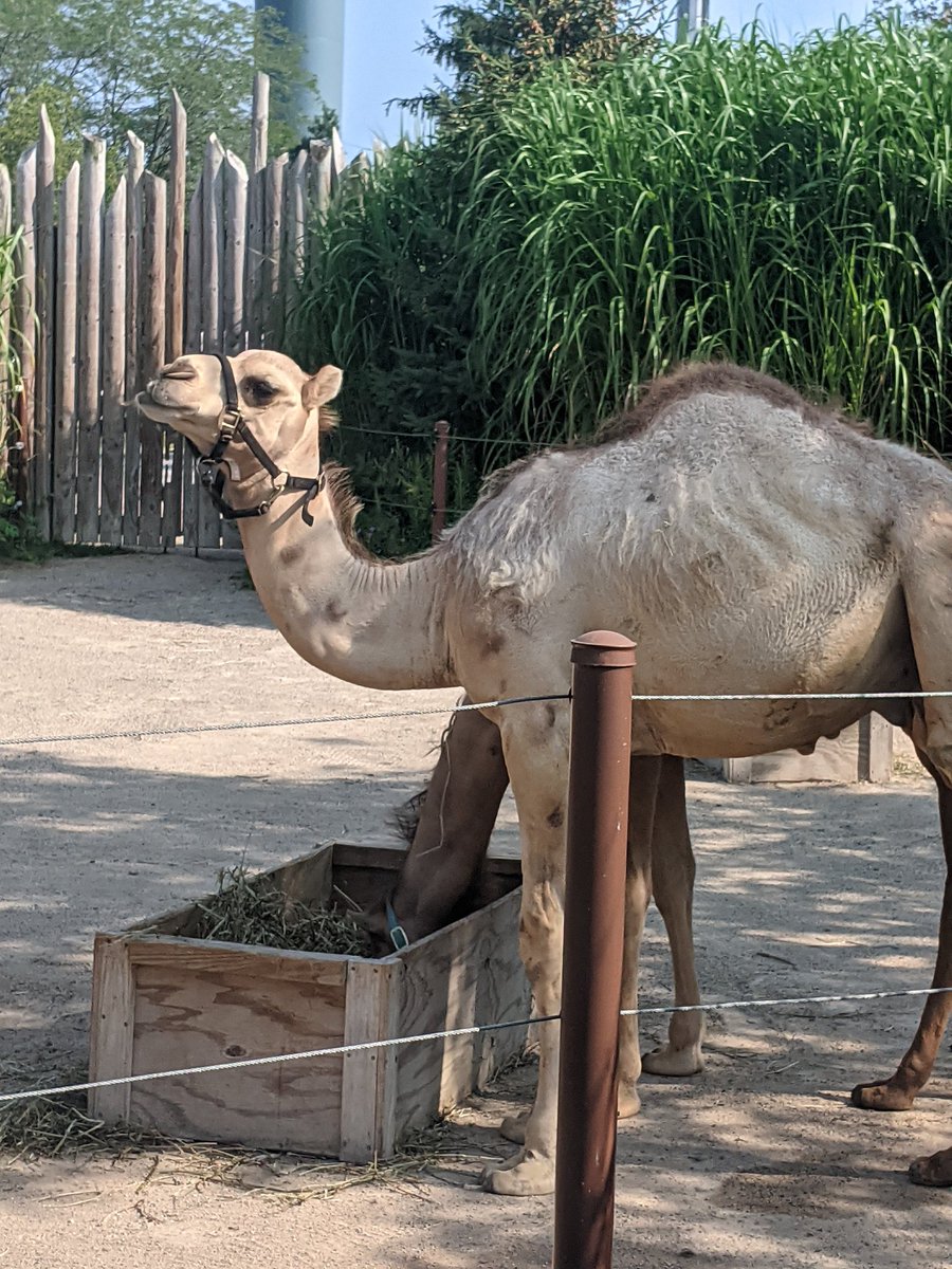 kate10andco's tweet photo. Happy hump day ya all #humpday #yougotthis https://t.co/OUygbSFFW4