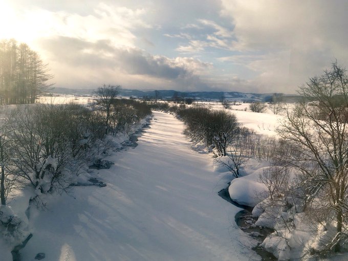 ピングーのtwitterイラスト検索結果 古い順