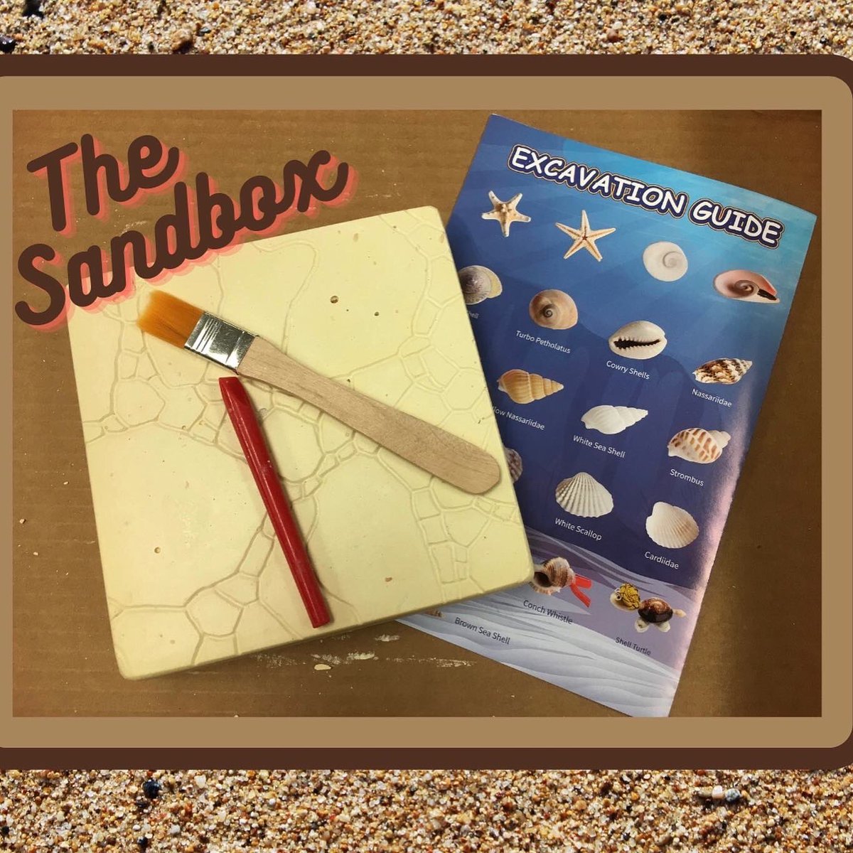 asmsalibrary's tweet photo. Test out your excavation skills in the #library sandbox. There are dozens of sea shells to find. Stop by today and see what you can discover. #asmsalibrary https://t.co/QXUuaRweMf