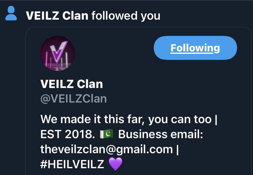 VEILZ Clan tweet media