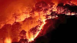rav_en_21's tweet photo. The Hell become on The Earth..
#keep_praying https://t.co/yBHDHWVuOm