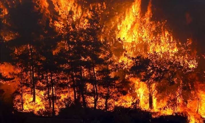 rav_en_21's tweet photo. The Hell become on The Earth..
#keep_praying https://t.co/yBHDHWVuOm