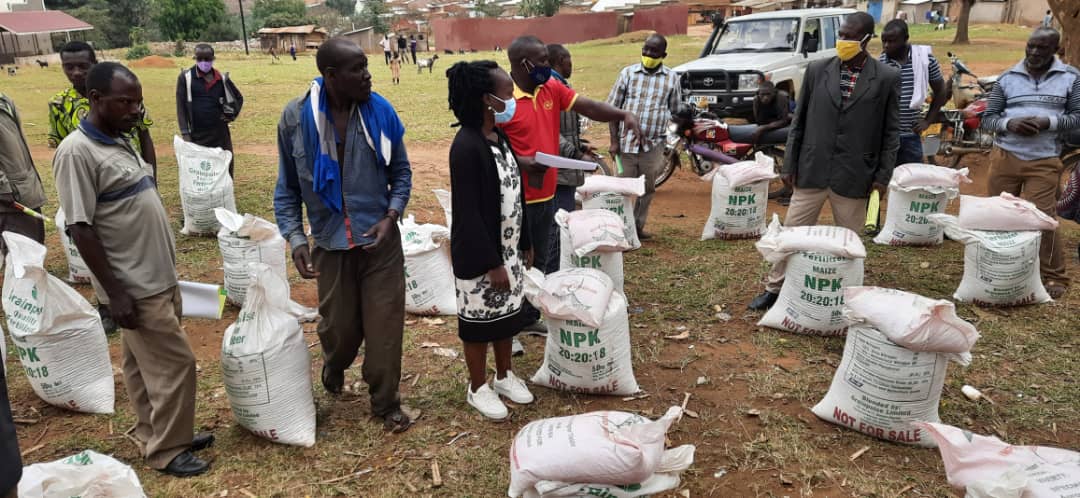 aBi_Finance's tweet photo. Our Implementing Partners are complementing farmers in ensuring access to quality agro-inputs. Distribution for second season 2021 was rolled out last week countrywide. Expect to reach over 30,000 small holder farmers.
📷 #AgroWays Ug Ltd in final lap distribution for #Kamwenge. https://t.co/GRfwcxgnj3