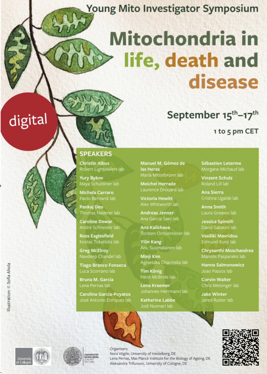 A very interesting event is approaching!! 
itn-remix.uni-koeln.de/events/online-…

#Young #Mito #Investigator #Symposium
