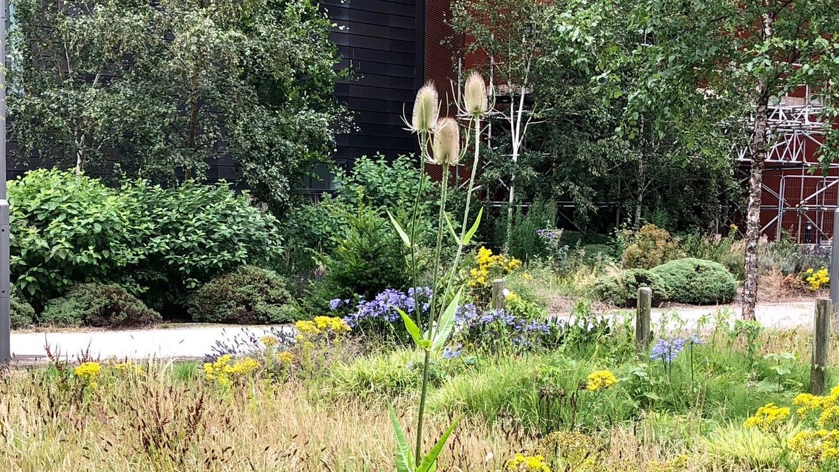 Green Guild tweet media