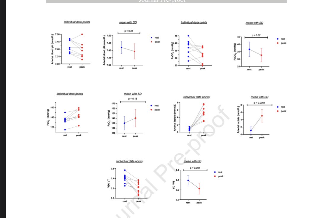 Naftali Kaminski tweet media