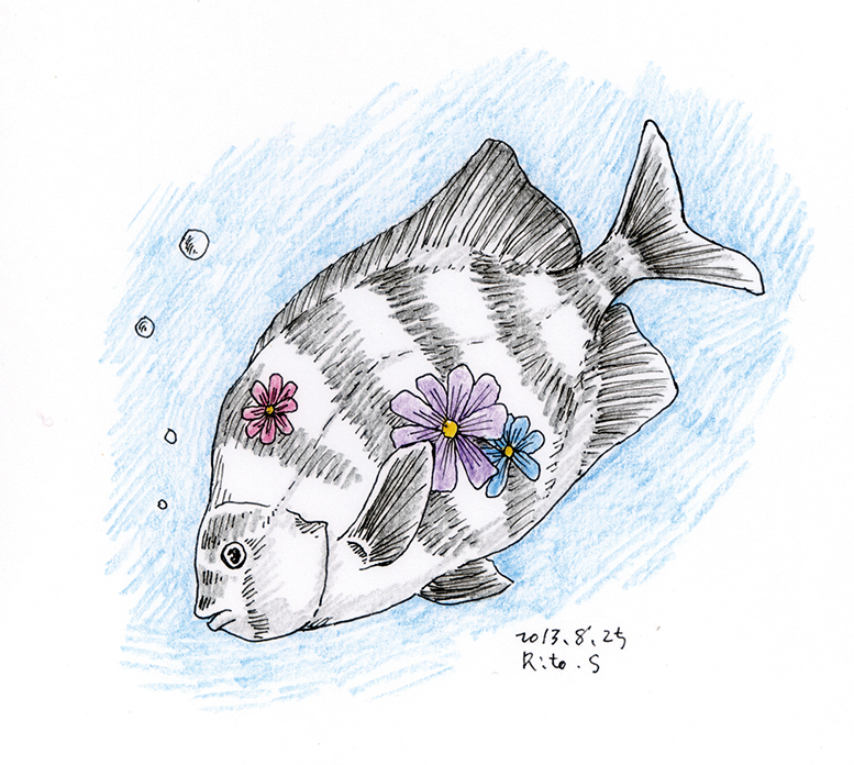 さいはてりと イラストレーター على تويتر ご近所の方から雷電て書いてあるモナカ貰った うまそう 楽しみ 夜中に食べる予定 13年08月25日魚 魚 さかな 魚介類 イラスト 魚イラスト イラストレーター 水彩色鉛筆 色鉛筆 水彩 アナログ アナログ さいはてりと イラストレーター على تويتر ご近所の方から雷電て書いてあるモナカ貰った うまそう 楽しみ 夜中に食べる予定 13年08月25日魚 魚 さかな 魚介類 イラスト 魚イラスト イラストレーター 水彩色鉛筆 色鉛筆 水彩 アナログ アナログ