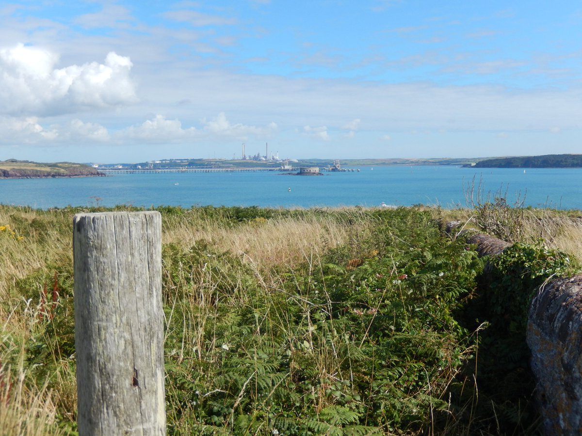 stdavidspembs's tweet image. Great Castle Head
#milfordhavenwaterway 
#pembrokeshire #walescoastpath