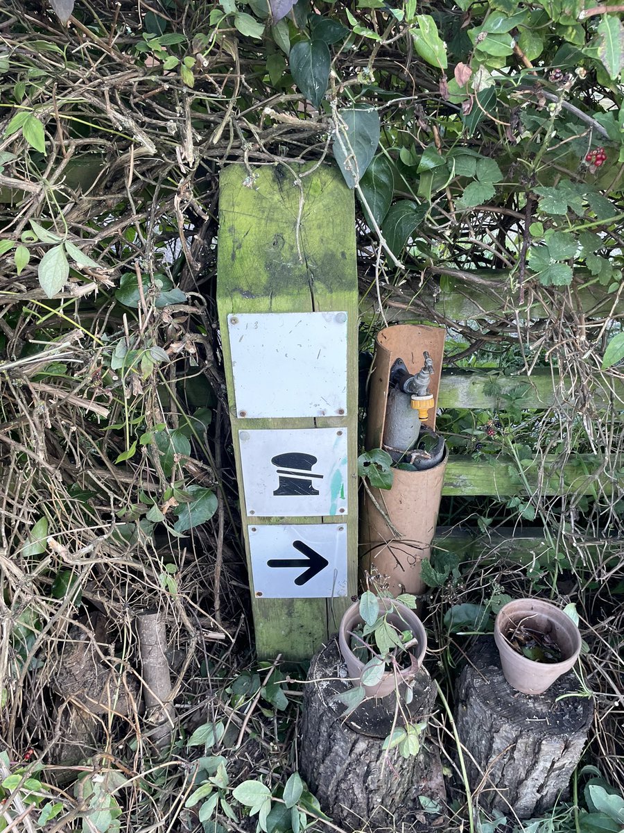 Rob Stockman tweet media