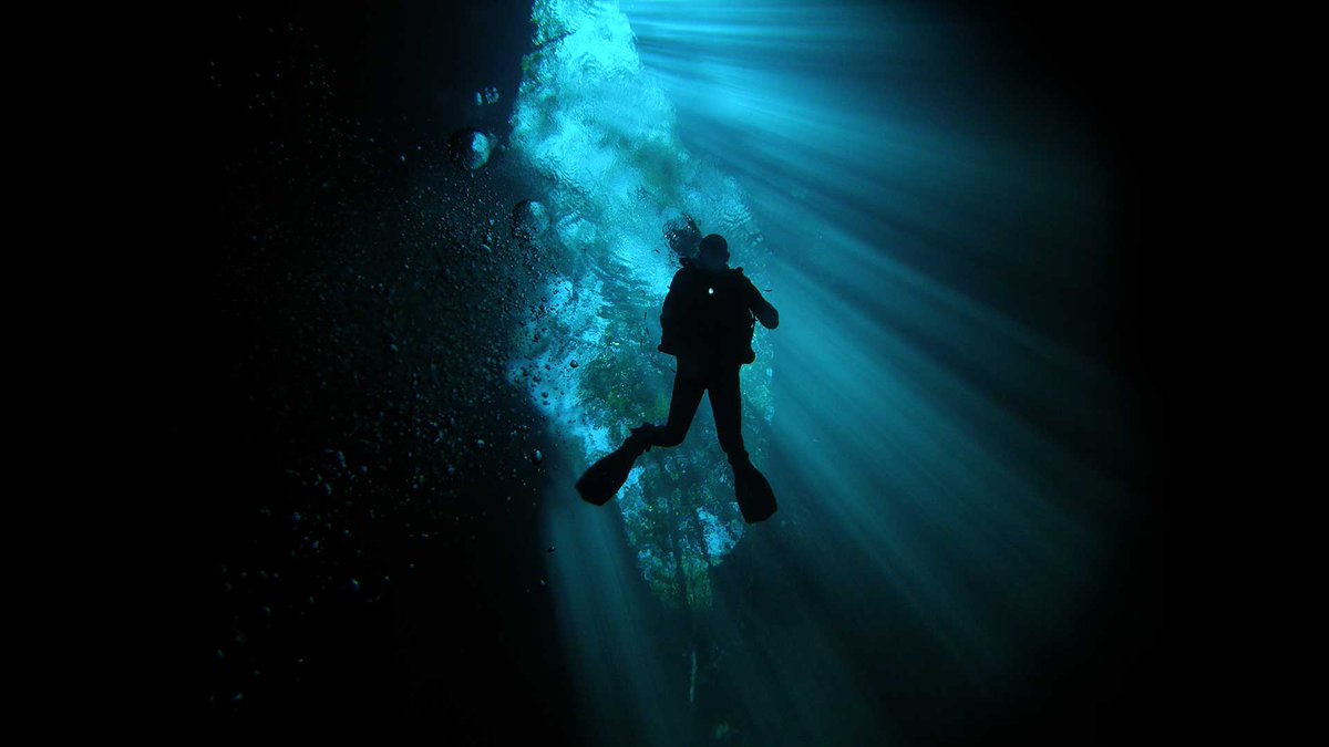 DeepMexico1's tweet image. Whether you are a beginner or an experienced diver, we are at your service!

Get in touch : 
deepmexico.com
info@deepmexico.com    

#DeepMexico #Divingcenotesmexico #adventuresinquintanaroo #divingincenote #cavedive #divecourses #Mexico