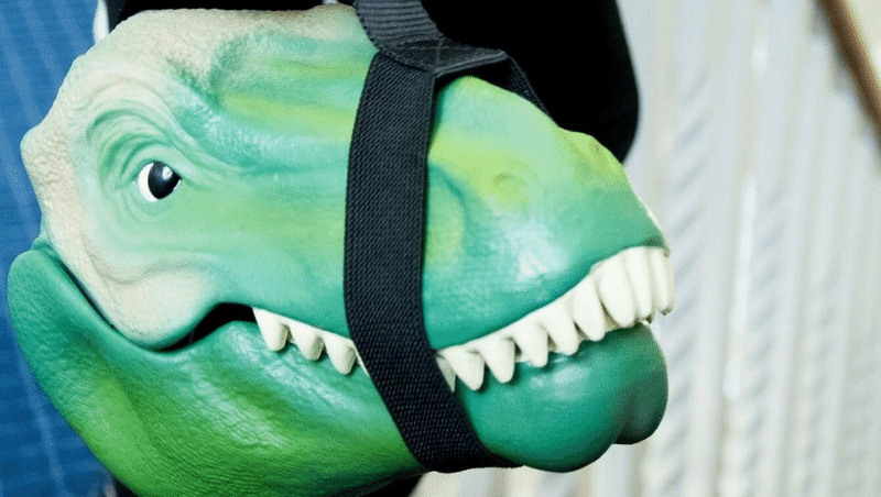 BROODTROMMELS SAAI? 🦖
Met deze super leuke broodtrommels kun jij lekker je brood opsmikkelen. Het brood smaakt vast extra lekker! Bekijk onze selectie >> boyslabel.com/broodtrommel-k…

#broodtrommel #lunch #lunchtime #lunchbox #bento #bentobox #schoolmusthaves #backtoschool