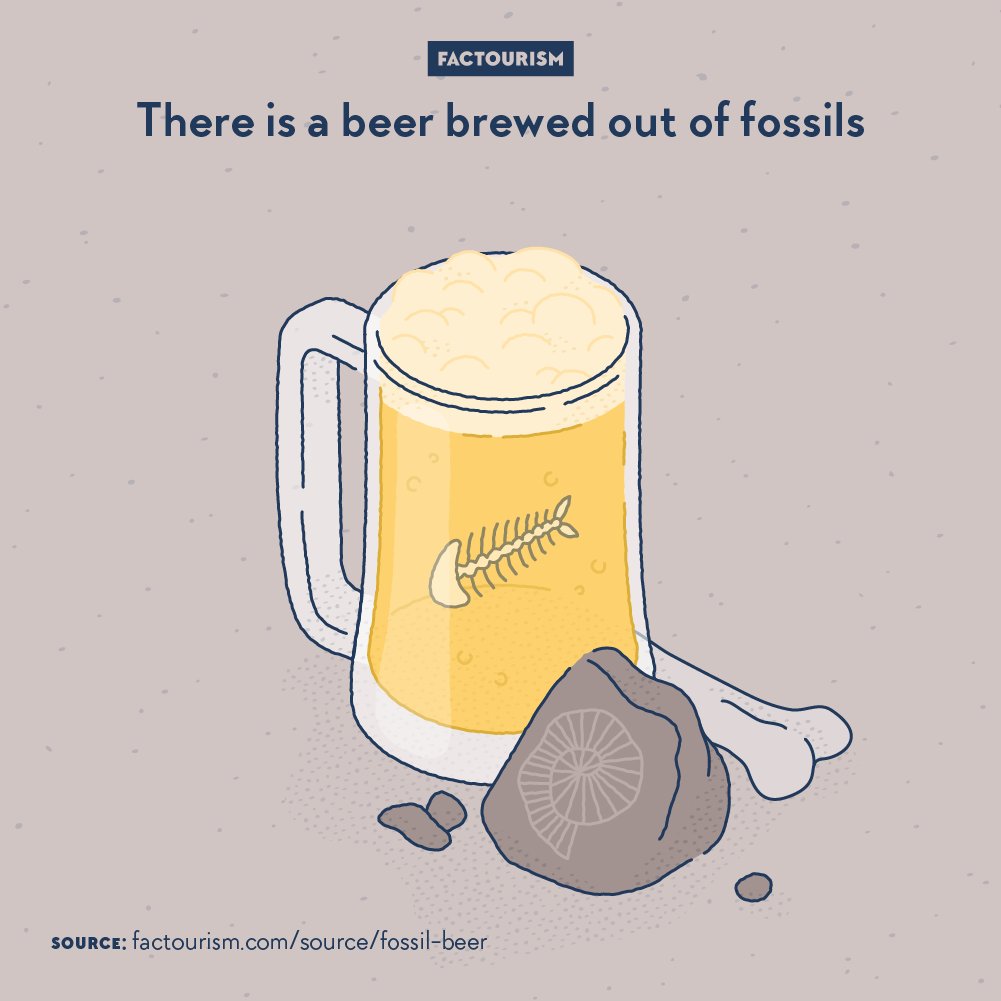 Factourism tweet media