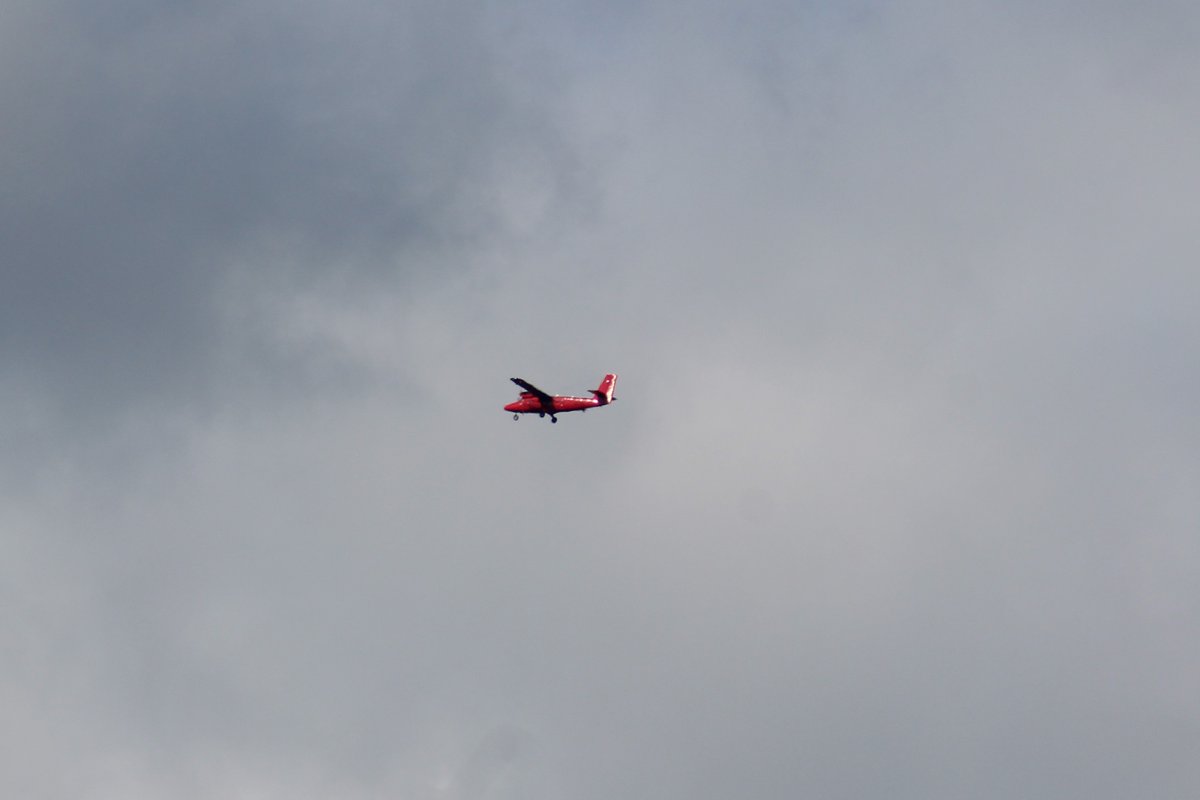 Rob Morris tweet media