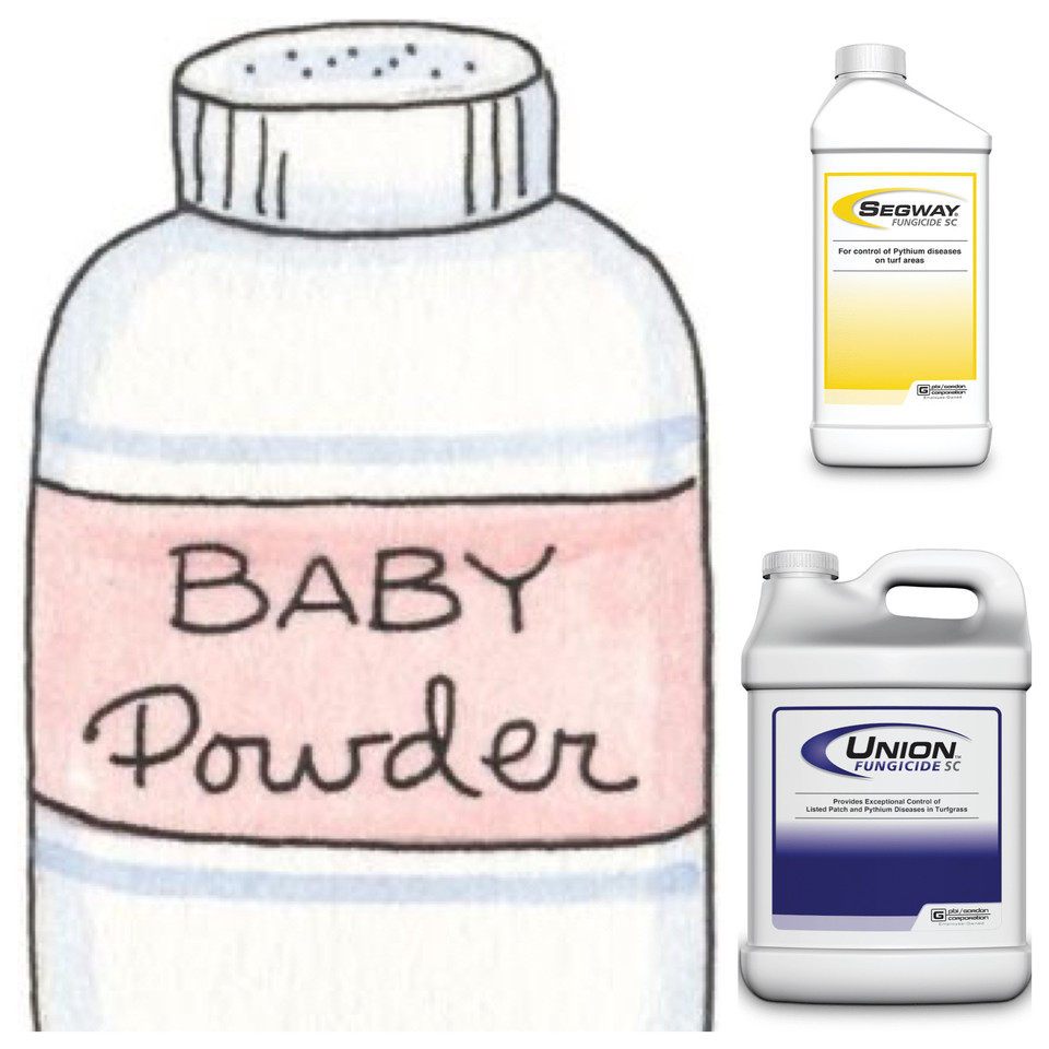jfcanning's tweet photo. Remember the old adage when it’s Baby Powder weather🥵then you should be applying @pbigordonturf Segway &amp; Union #fungicides for preventative &amp; curative control of ALL Pythium diseases ➕ 21 Broad-Spectrum diseases w/Union🤯 #KeepemDry #AllPythiums #PythiumPlus #SleepAtNight https://t.co/rljYH0pJZc
