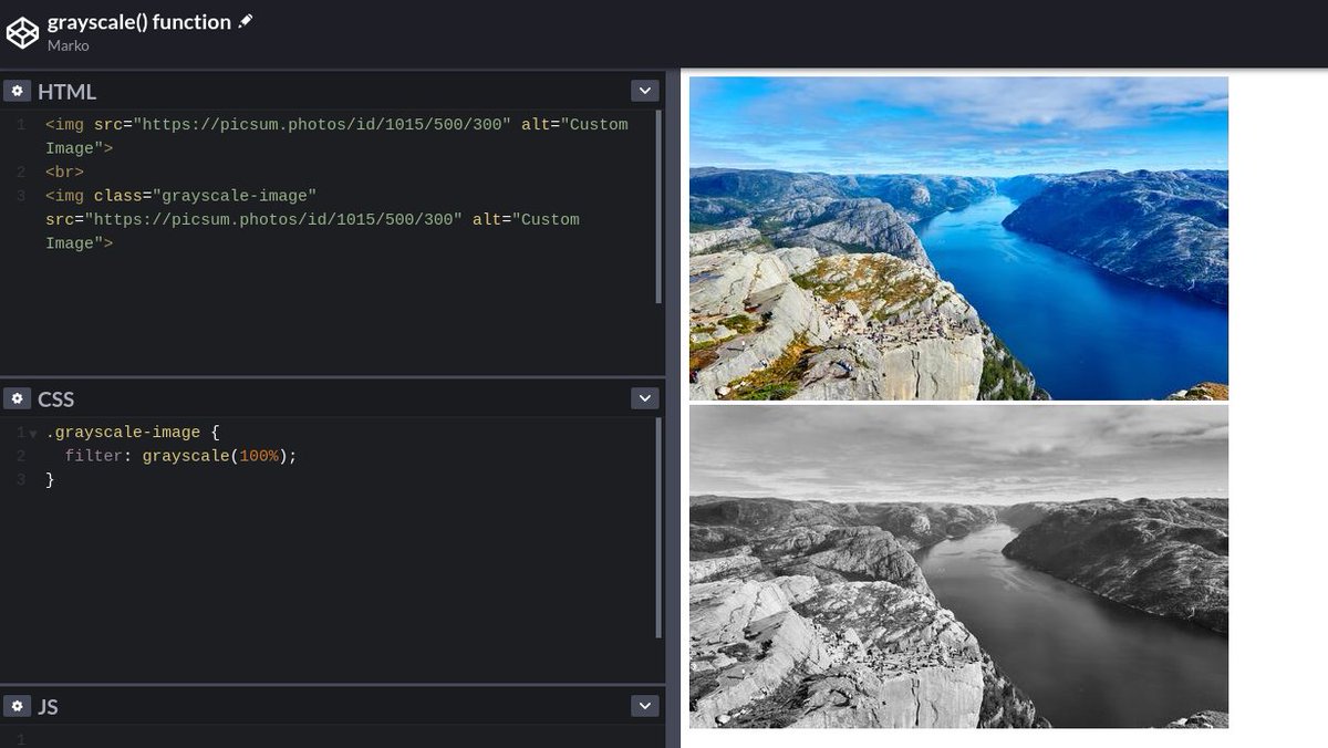 denicmarko's tweet image. CSS tip:
Use the `grayscale()` filter function to convert the input image to grayscale.