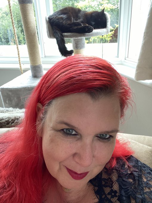 It&rsquo;s a hard life being a cat. Meanwhile I have an arse to #spank on a new #sissy https://t.co/0XGiQE<a href="/tag/sissy"class="tags"><span>#sissy</span></a><a href="/tag/spank"class="tags"><span>#spank</span></a>